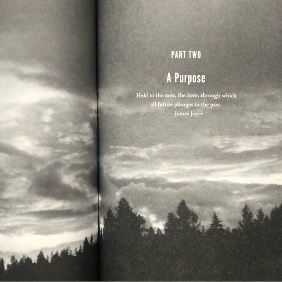 Come Sundown Hardcover Fiction by Bestselling Author Nora Roberts - Picture 7 of 11